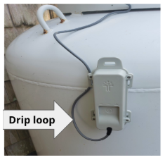 driploop.png