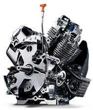 OHVI 999cc engine