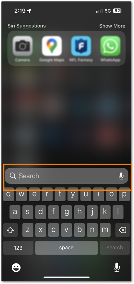 Searching for the App Store on an iOS device